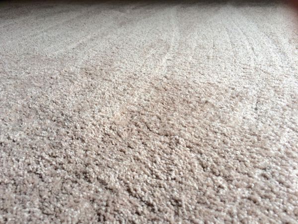 Plush Carpet Installation in Oklahoma City